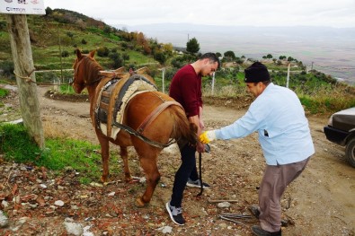 Randevu ile nal çakıyor