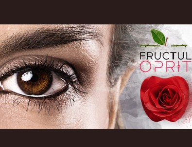 Aşk-ı Memnu, Romanya'da dizi oluyor!