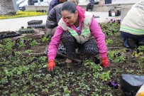 Hatay'da Çiçeklendirme Çalışmaları