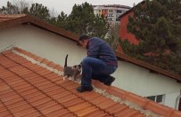İtfaiyeden Kedi Kurtarma Operasyonu