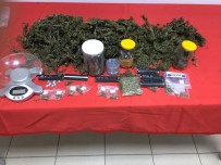 Jandarmadan Uyuşturucu Operasyonu Açıklaması 5 Gözaltı