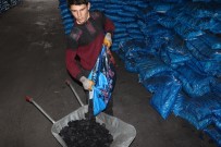 DÖVIZ KURU - 'Kara Elmas' Satıcılarını Kara Kara Düşündürüyor