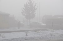 UÇAK SEFERLERİ - Kars'ta Sis Hayatı Olumuz Etkiledi