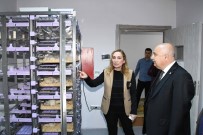 Rektör Gönüllü DEHAM'da İncelemelerde Bulundu