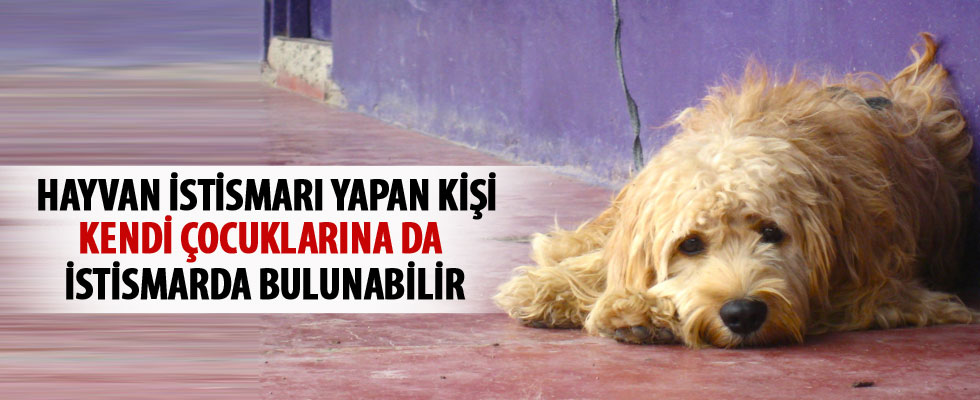 'Hayvan istismarı yapan kişi kendi çocuklarına da istismarda bulunabilir'