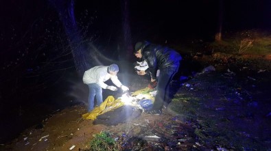 İstanbul'da Ormanlık Alanda Erkek Cesedi Bulundu