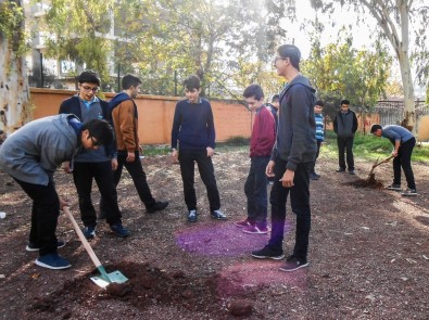 Muratpaşa'dan Okul Bahçelerine Ağaç