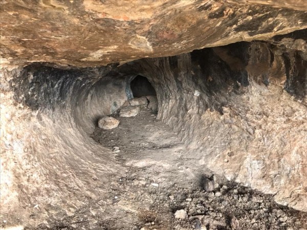 Diyarbakır'da 2 PKK'lı terörist yakalandı