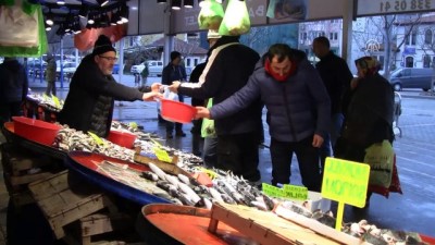 Bir Kilogram Lüfer, 5 Kilogram Kıyma Fiyatına Satılıyor