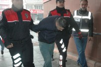 SAHTE İŞYERİ - Kredi Kartı Dolandırıcı Şebekesi Yakalandı