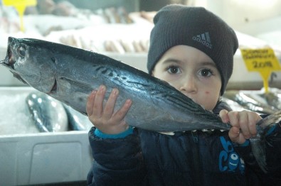 (Özel) Kahramanmaraş'ta Balık Fiyatları Tavan Yaptı
