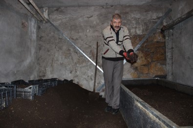 Evinde Yüz Binlerce Solucan Besliyor