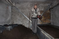 SOLUCAN GÜBRESİ - Evinde Yüz Binlerce Solucan Besliyor