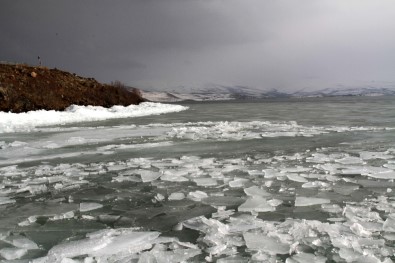 Kutuplar Değil Ardahan