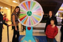 ÇARKıFELEK - Özlem Yıldız İle Samsun'da Çarkıfelek Heyecanı