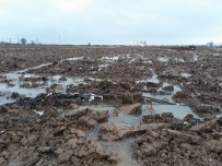 AŞIRI YAĞIŞ - Drenaj Kanalları Açılmayınca Tarlalar Sular Altında Kaldı