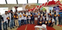 MUHABBET KUŞU - Güvercin Festivalinde Şampiyonlar Yarıştı