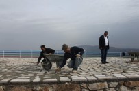 TİLLO - Kalet-Ül Üstat Tepesi'ne Tabiat Parkı Yapılıyor