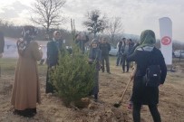 KREDI VE YURTLAR KURUMU - KYK'da Kalan Öğrenciler Fidanları Toprakla Buluşturdu