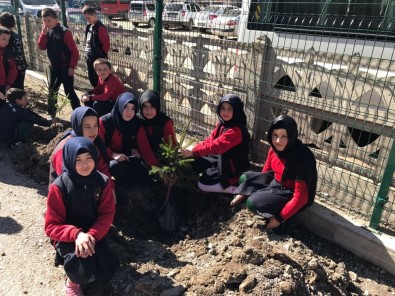 Ordu'da Sosyal Maksatlı Ağaçlandırmada 2 Bin Fidan Dikildi