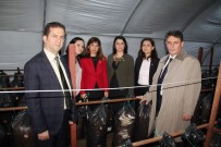 Sığınmacılar 'İstiridye Mantarı' Bile Üretiyor