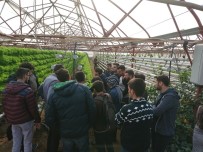 Üniversite Öğrencilerinden Teknik Gezi