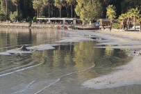 ZEMHERI - Dünyaca Ünlü Körfezde Korkutan Olay