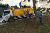 KAĞITHANE BELEDİYESİ - Kağıthane'de Site Bahçelerinde Bakım Çalışmaları Başladı