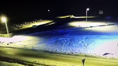 Aç Kalan Kurtlar Sahipsiz Köpeği Parçaladı