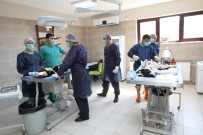 Büyükşehir'den 2017 Yılında, 5 Bin 500 Hayvana Şefkat Eli