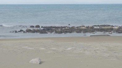 Hatay Sahilinde Erkek Cesedi Bulundu