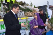 YILBAŞI ÇAMI - Balıkesir Orman Bölge Müdürlüğü Ücretsiz Fidan Dağıttı