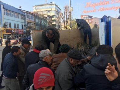 Tunceli'de 'Ağaç Kesme, Fidan Dik' Kampanyası