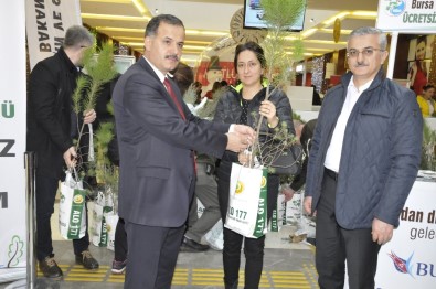 Yılbaşında Ağaç Kesmeyip Fidan Dikecekler