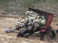 RECEP SARı - Manisa'da Traktör Devrildi Açıklaması 1 Ölü