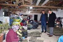 Bigadiç Çiçeklerle Donanacak