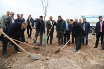 ERGUVAN - Çiftçi Muhtarlarla Birlikte Ağaç Dikti