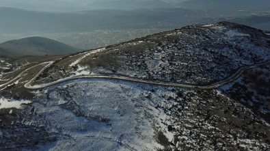 Gemlik'e Yeni Orman