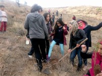 AHMET GAZI KAYA - Kahta Gazi Ortaokulu Fidan Dikti