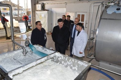 Vali Arslantaş, Erzincan Süt Toplama Soğutma Ve Süt Analiz Merkezi'ni İnceledi