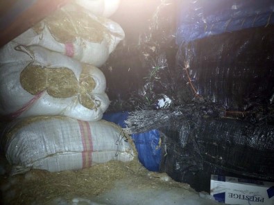 Van'da 800 Kilo Kaçak Çay Ele Geçirildi