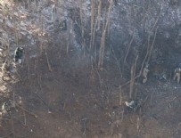 DÜDÜKLÜ TENCERE - PKK sığınağından tavla ve satranç takımı da çıktı