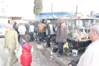 YILBAŞI GECESİ - Şanlıurfa'da Hindilere İlgi Olmadı