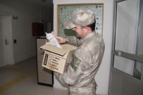 FERİBOT İSKELESİ - Bir Yanda Kediye Şefkat, Diğer Yanda İşkence