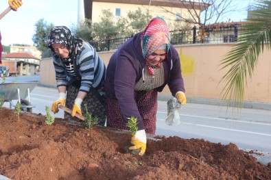 Kadınlar 3 Bin Fidan Dikti