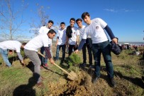 KYK'dan 250 Bin Fidan