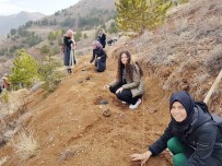 KREDI VE YURTLAR KURUMU - KYK Ormanı İçin Bin Adet Fidan Diktiler