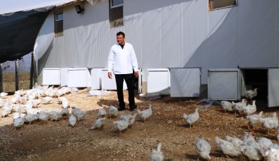 Organik Diye Sunulan Ürünlere Dikkat