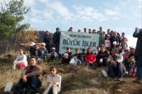 ORMANA - Yanan Alanlar Yeniden Ağaçlandırılıyor