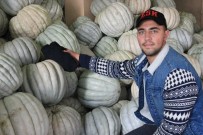 Yaşıtları İş Planları Yaparken O Kendi İşinin Patronu Oldu